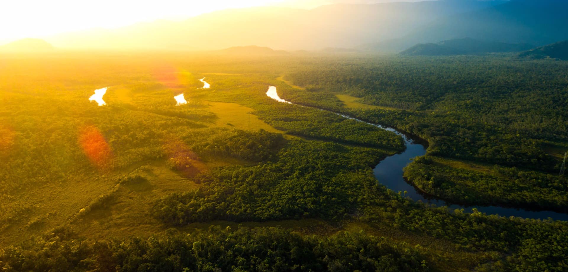 Amazonia vista aerea floresta